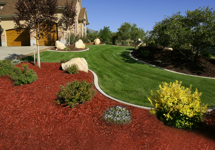 wowww mulch